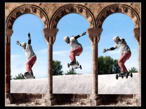 Hidden Secrets of Small Animals with René Krekels @ Zoom