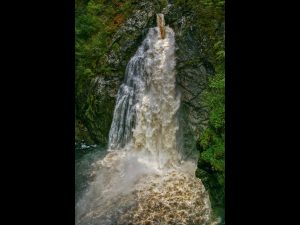 Out of the Dark with Simon Caplan @ Zoom