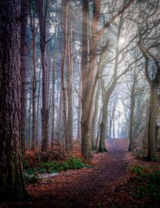 A Preview of Changes Ahead @ Zoom