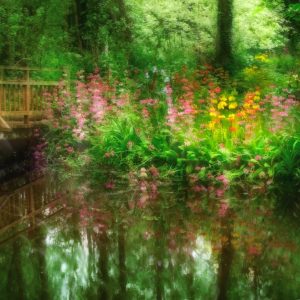 A Preview of Changes Ahead @ Zoom