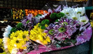 A Preview of Changes Ahead @ Zoom