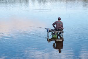 Member's Evening - Seeing in sixes CD 20/3/26 @ Zoom