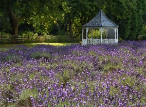 A Preview of Changes Ahead @ Zoom