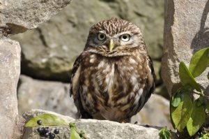 Member's Evening - Details to be confirmed @ Frodsham Community Centre