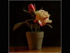 A Preview of Changes Ahead @ Zoom