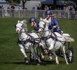 A Preview of Changes Ahead @ Zoom