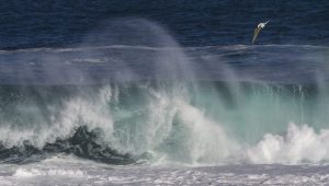 A Preview of Changes Ahead @ Zoom