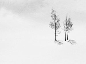 Member's Evening - Details to be confirmed @ Frodsham Community Centre