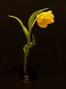 Member's Evening - Details to be confirmed @ Frodsham Community Centre