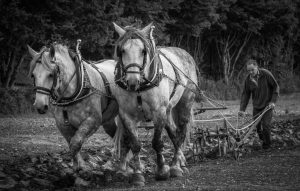 Member's Evening - Details to be confirmed @ Frodsham Community Centre