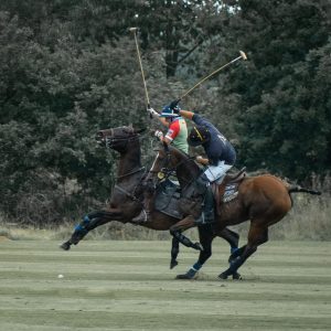 Member's Evening - Seeing in sixes CD 20/3/26 @ Zoom