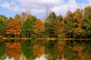 Member's Evening @ Zoom