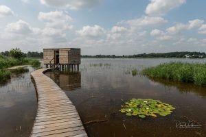 Member's Evening @ Zoom