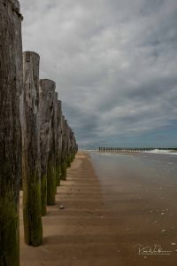 Member's Evening @ Zoom