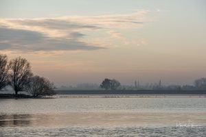 Member's Evening @ Zoom