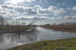 Member's Evening @ Zoom