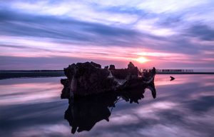 Member's Evening @ Zoom