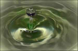 Member's Evening @ Zoom