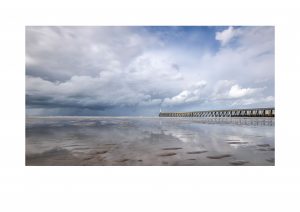 Member's Evening @ Zoom