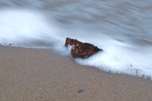 Member's Evening @ Zoom