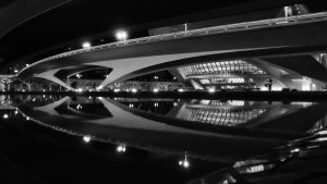 Member's Evening @ Zoom