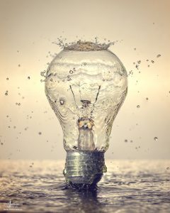 Member's Evening @ Zoom