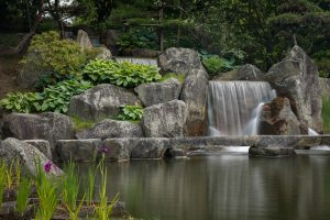 Member's Evening @ Zoom