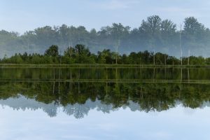 Member's Evening @ Zoom