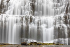 Member's Evening @ Zoom