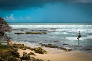 Member's Evening @ Zoom