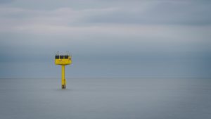 Member's Evening @ Zoom