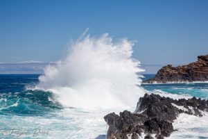 Member's Evening @ Zoom