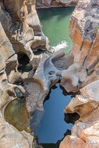 Member's Evening @ Zoom