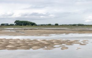 Member's Evening @ Zoom