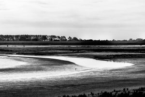 Member's Evening @ Zoom