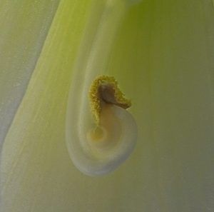 Competition 2 "Open" CD 17/11/25 Print and PDI @ Frodsham Community Centre