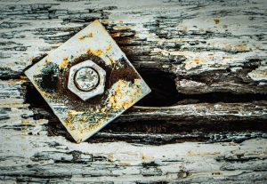 Competition 2 "Open" CD 17/11/25 Print and PDI @ Frodsham Community Centre