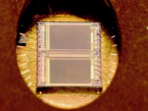 Navigating your Inner Voice in Photography by Frances Marshall @ Zoom