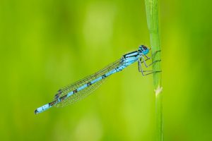 Competition 2 "Open" CD 17/11/25 Print and PDI @ Frodsham Community Centre