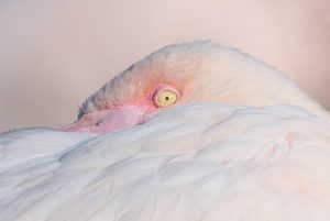 Competition 2 "Open" CD 17/11/25 Print and PDI @ Frodsham Community Centre