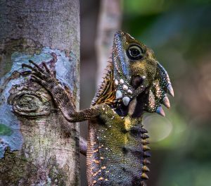 Competition 2 "Open" CD 17/11/25 Print and PDI @ Frodsham Community Centre