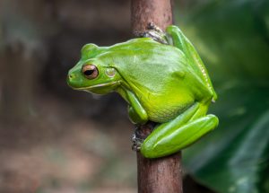 Competition 2 "Open" CD 17/11/25 Print and PDI @ Frodsham Community Centre