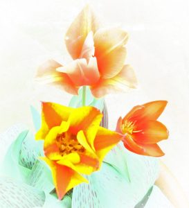 Competition 2 "Open" CD 17/11/25 Print and PDI @ Frodsham Community Centre