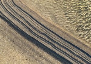 Competition 2 "Open" CD 17/11/25 Print and PDI @ Frodsham Community Centre