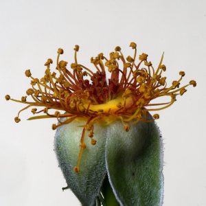 Competition 2 "Open" CD 17/11/25 Print and PDI @ Frodsham Community Centre