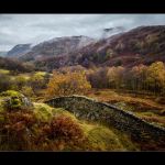 Wynford Evans - Very Highly Commended