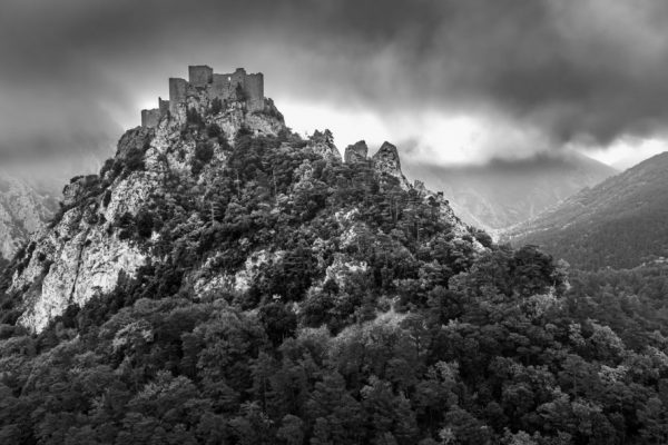 Delena Harris - Highly Commended