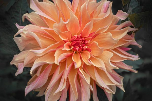 Miriam Manners - Highly Commended