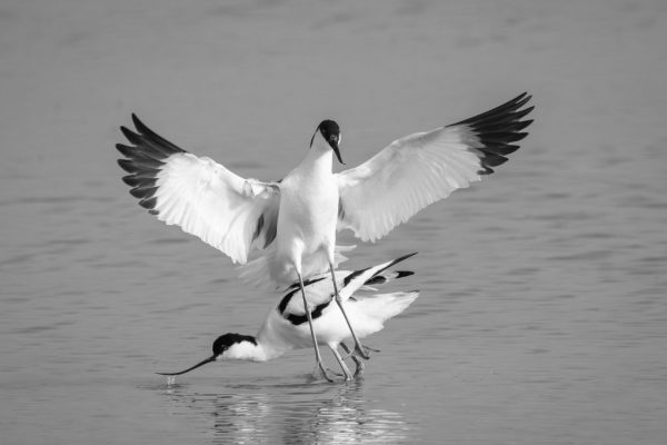 Maggie Bullock - Very Highly Commended