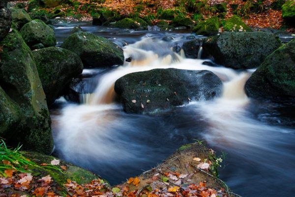 Andrew Williams - Commended